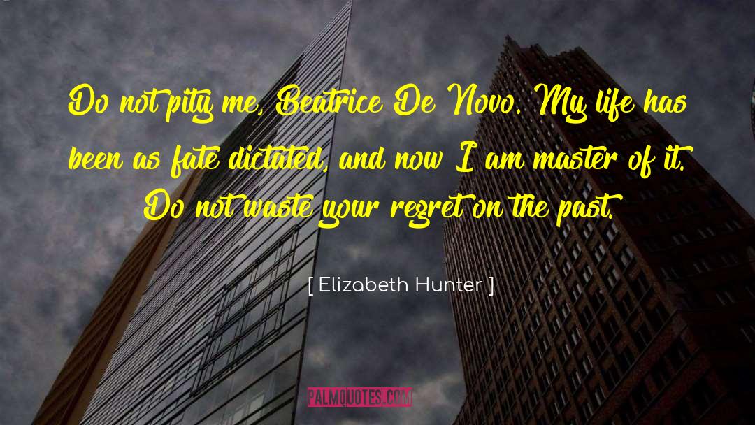 Idealization Of The Past quotes by Elizabeth Hunter