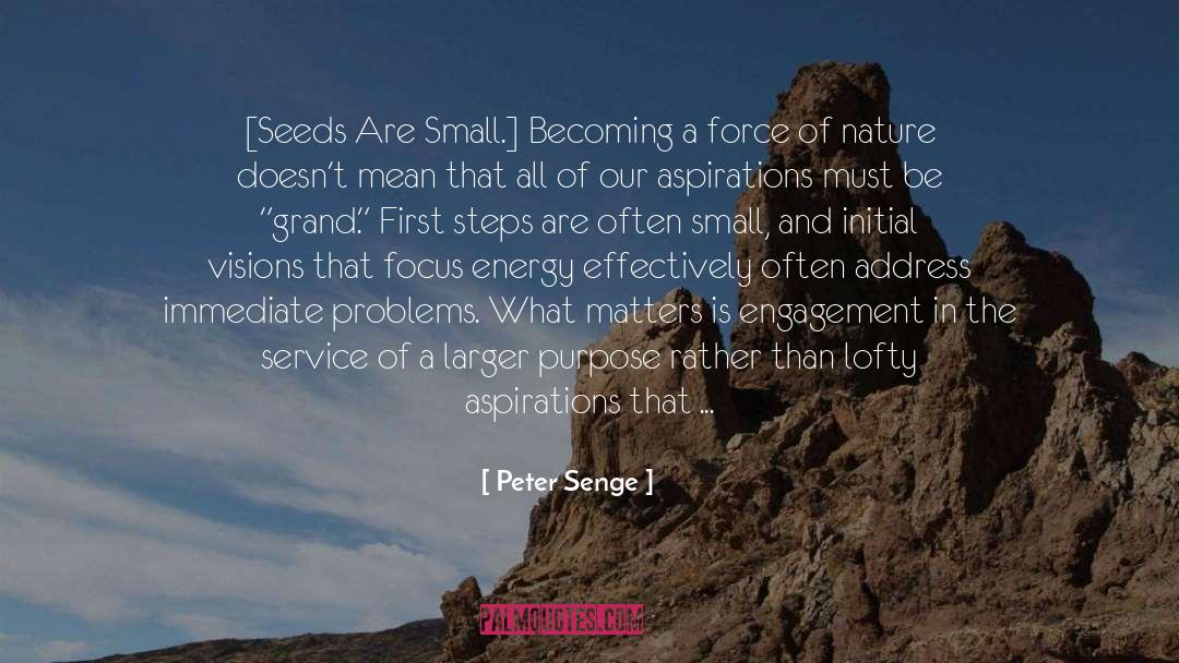 Ideas Are The Seeds Of Invention quotes by Peter Senge