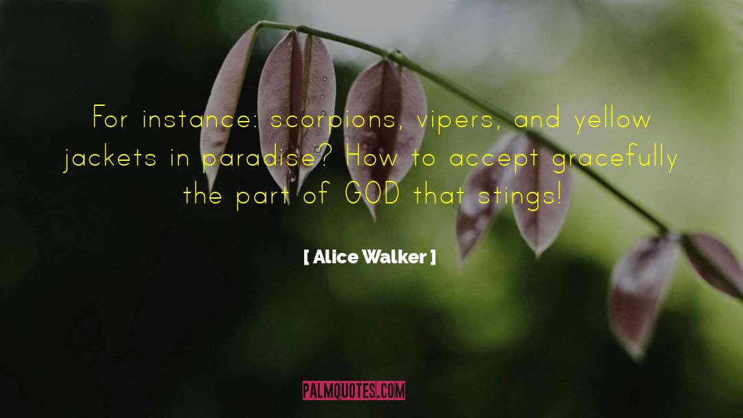 Ideas Of God quotes by Alice Walker