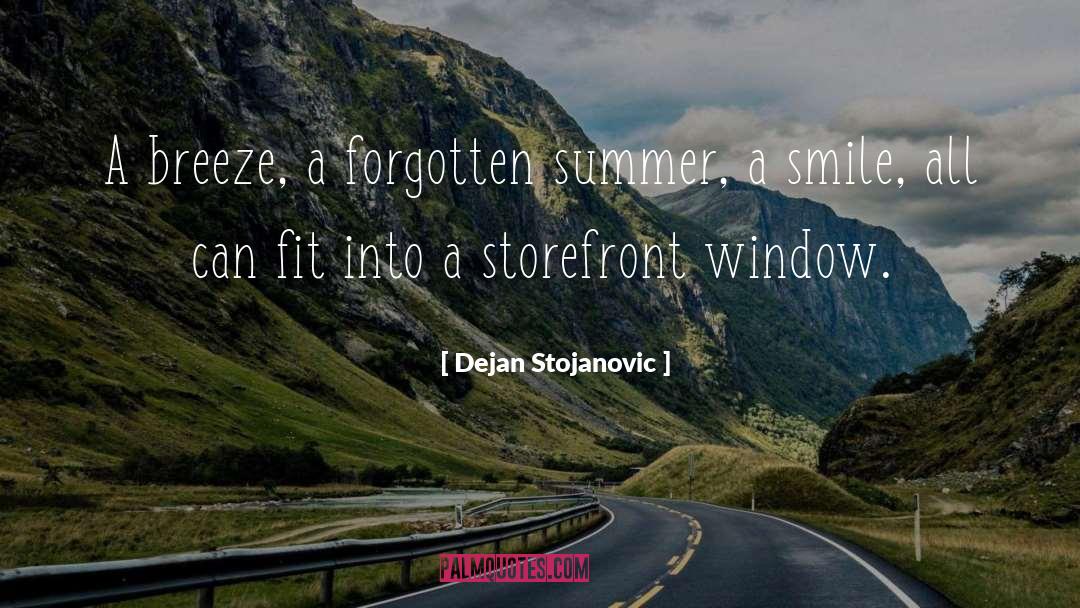 Ideas Wisdom quotes by Dejan Stojanovic