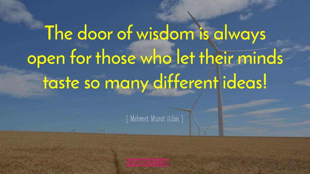 Ideas Wisdom quotes by Mehmet Murat Ildan