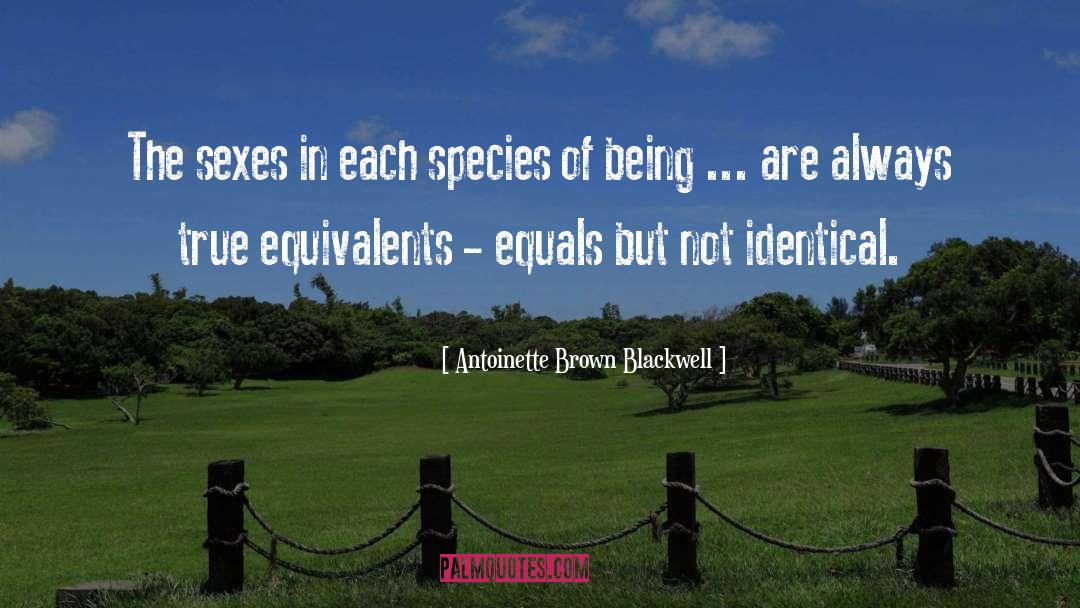Identical quotes by Antoinette Brown Blackwell