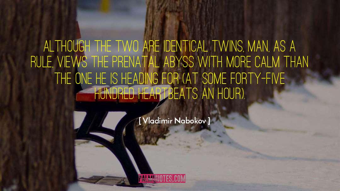 Identical Twins quotes by Vladimir Nabokov