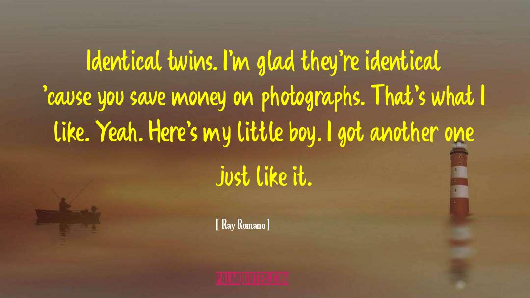 Identical Twins quotes by Ray Romano