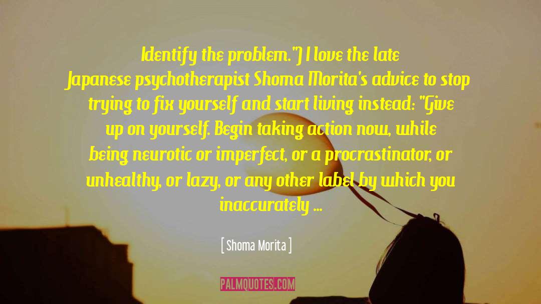 Identify The Problem quotes by Shoma Morita