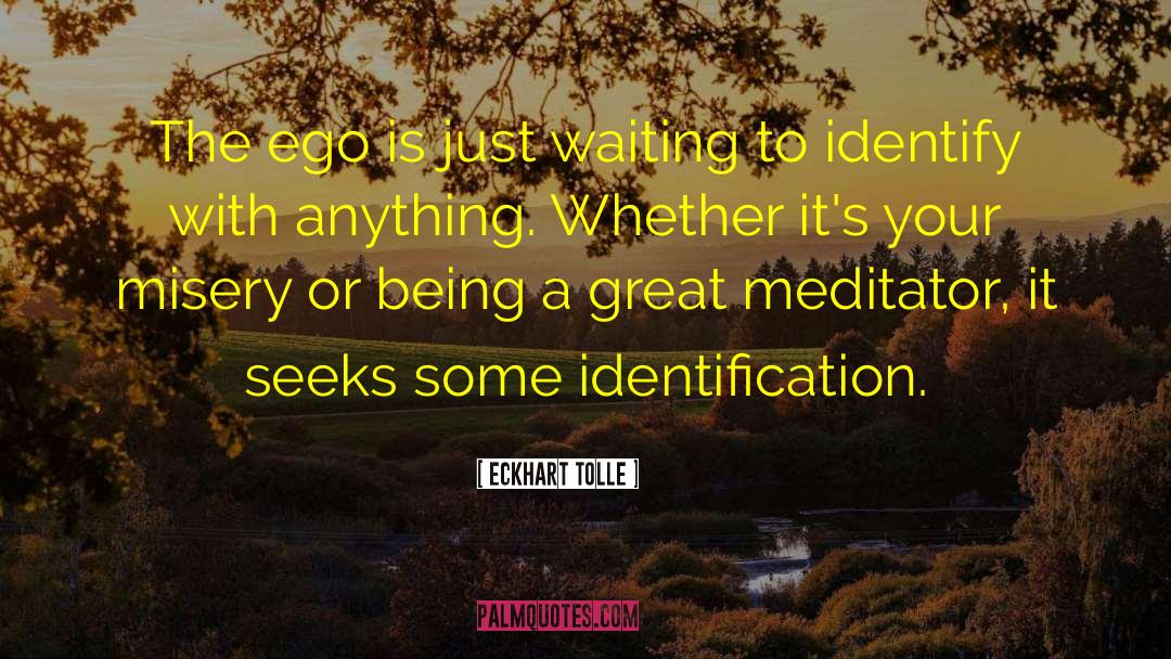 Identify With quotes by Eckhart Tolle