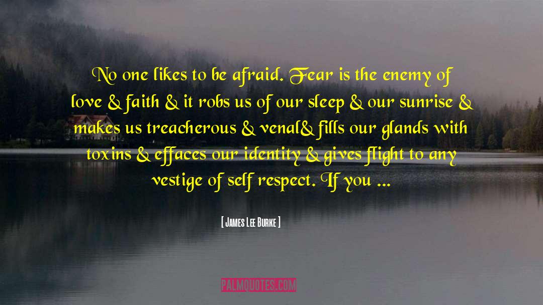 Identifying Fear quotes by James Lee Burke