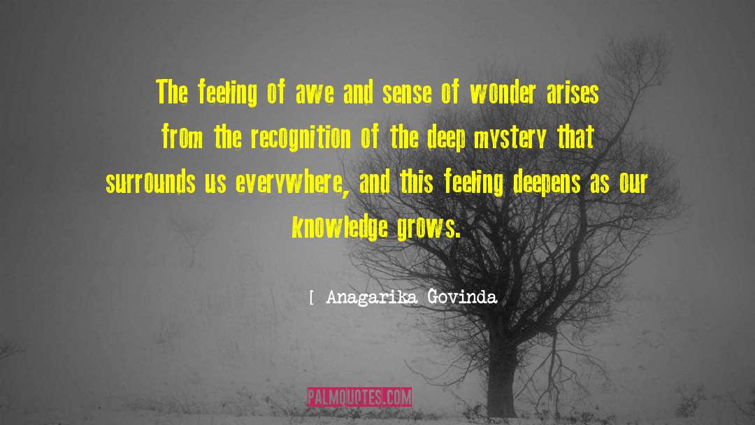 Identifying Feelings quotes by Anagarika Govinda