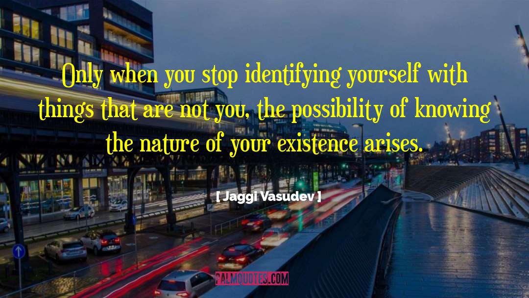 Identifying Yourself quotes by Jaggi Vasudev