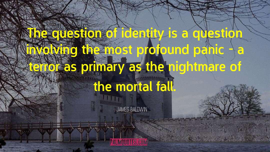Identity Crisis quotes by James Baldwin