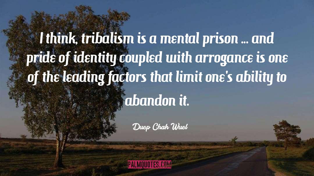Identity Politics quotes by Duop Chak Wuol