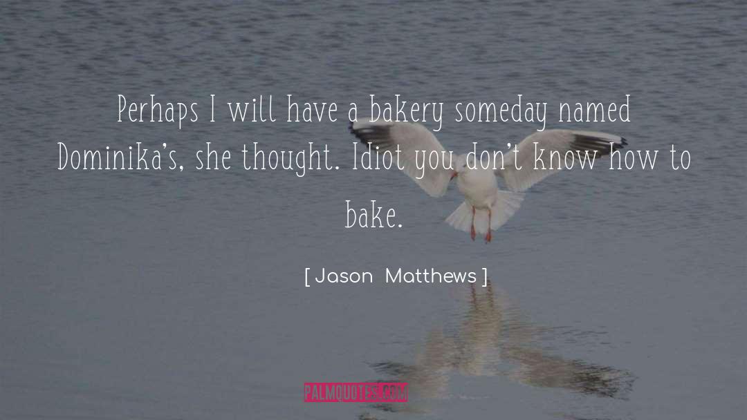 Idiot quotes by Jason  Matthews