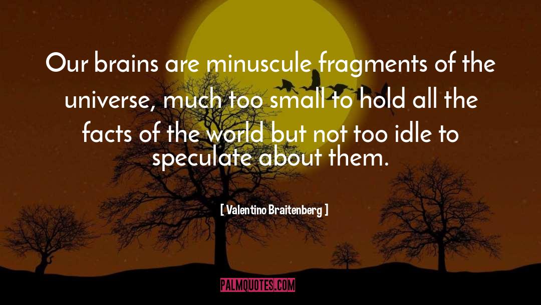 Idle Minds quotes by Valentino Braitenberg