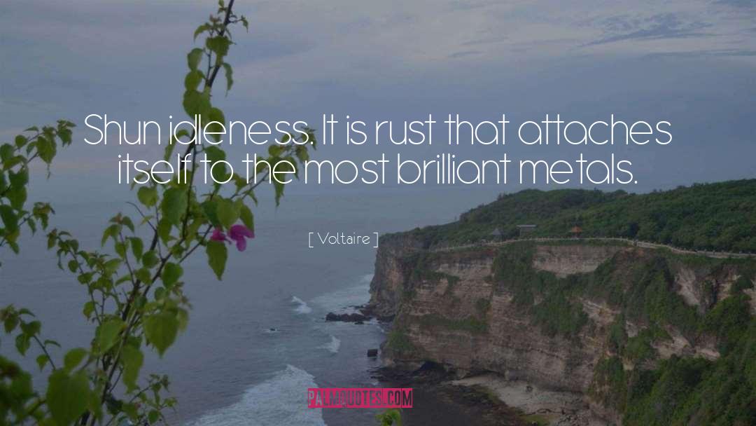 Idleness quotes by Voltaire