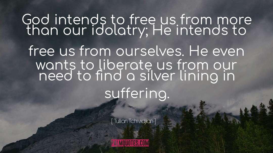 Idolatry quotes by Tullian Tchividjian