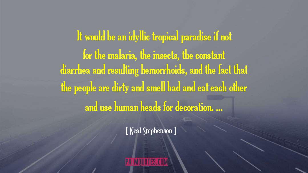 Idyllic quotes by Neal Stephenson