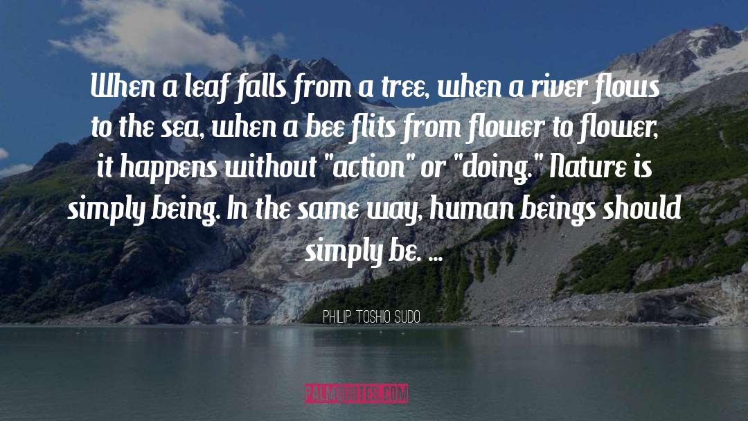 If A Tree Falls In The Forest quotes by Philip Toshio Sudo