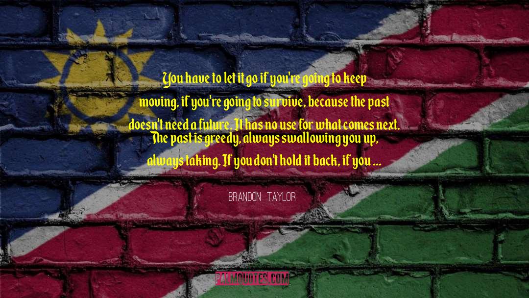If I Can Go Back To The Past quotes by Brandon  Taylor