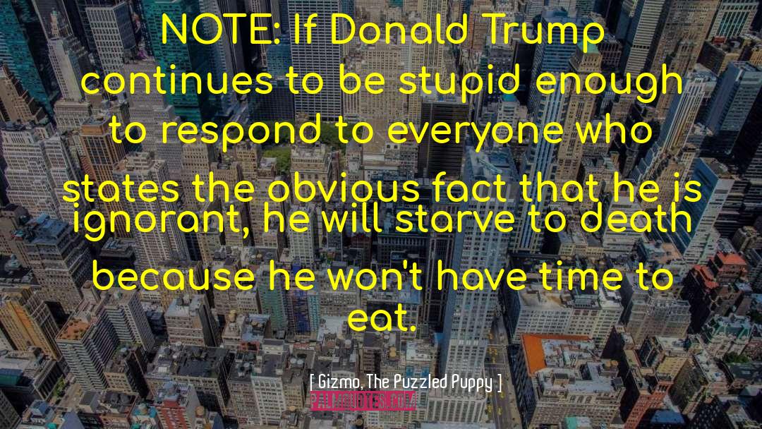 If Ignorance Is Bliss quotes by Gizmo, The Puzzled Puppy