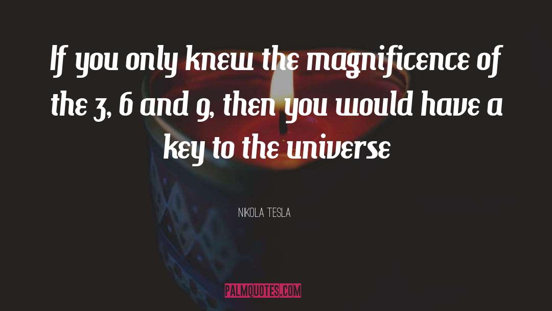 If Only You Knew quotes by Nikola Tesla