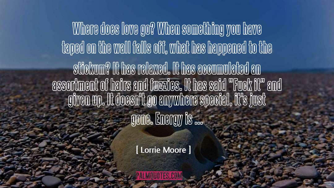If Someone Doesnt Love You quotes by Lorrie Moore