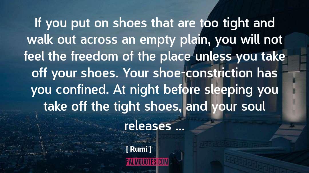 If The Shoe Fits quotes by Rumi