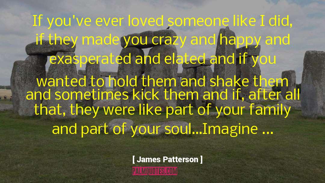 If They Loved You quotes by James Patterson