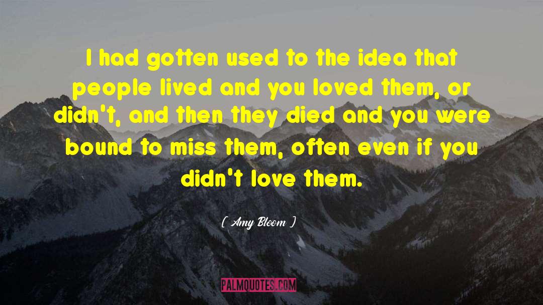 If They Loved You quotes by Amy Bloom