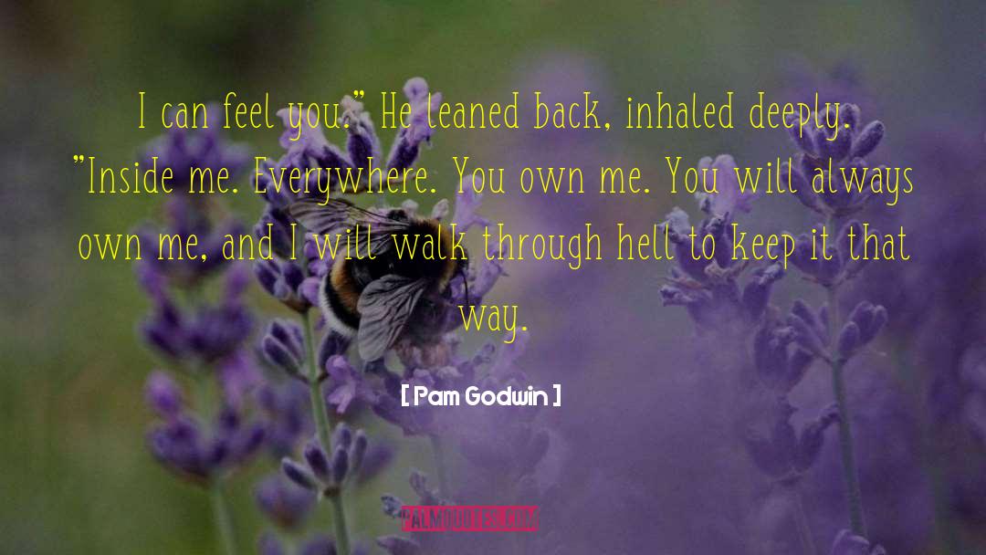 If You Can Feel It quotes by Pam Godwin