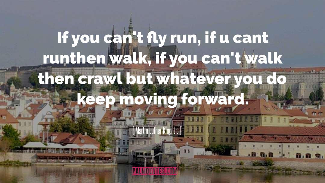 If You Cant Fly quotes by Martin Luther King, Jr.