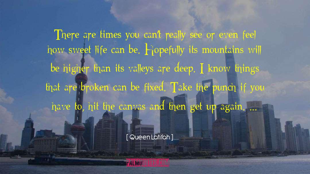 If You Cant Fly quotes by Queen Latifah