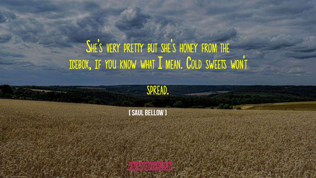If You Know What I Mean quotes by Saul Bellow