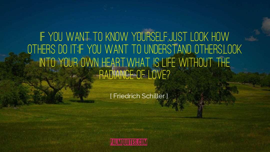 If You Love Someone quotes by Friedrich Schiller