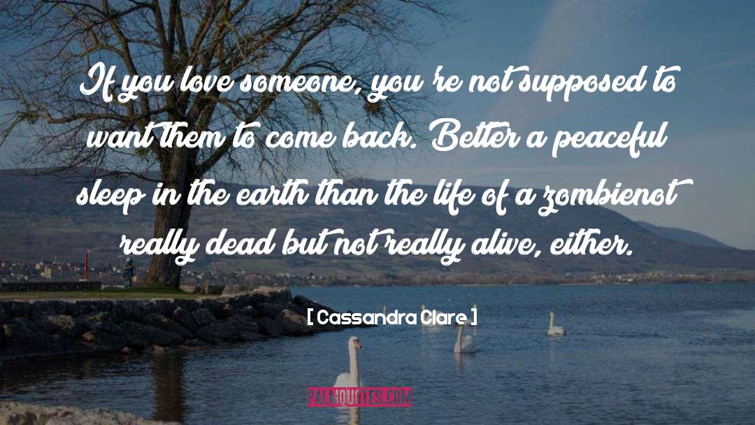 If You Love Someone quotes by Cassandra Clare