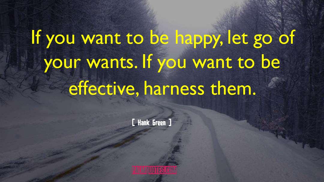 If You Want To Be Happy quotes by Hank Green