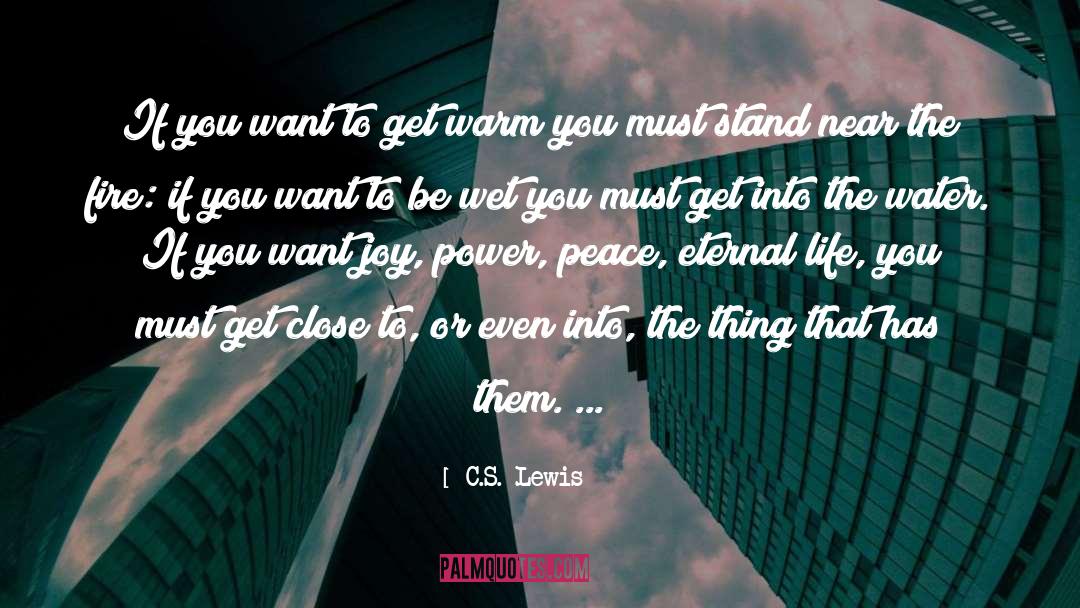 If You Want To Write quotes by C.S. Lewis