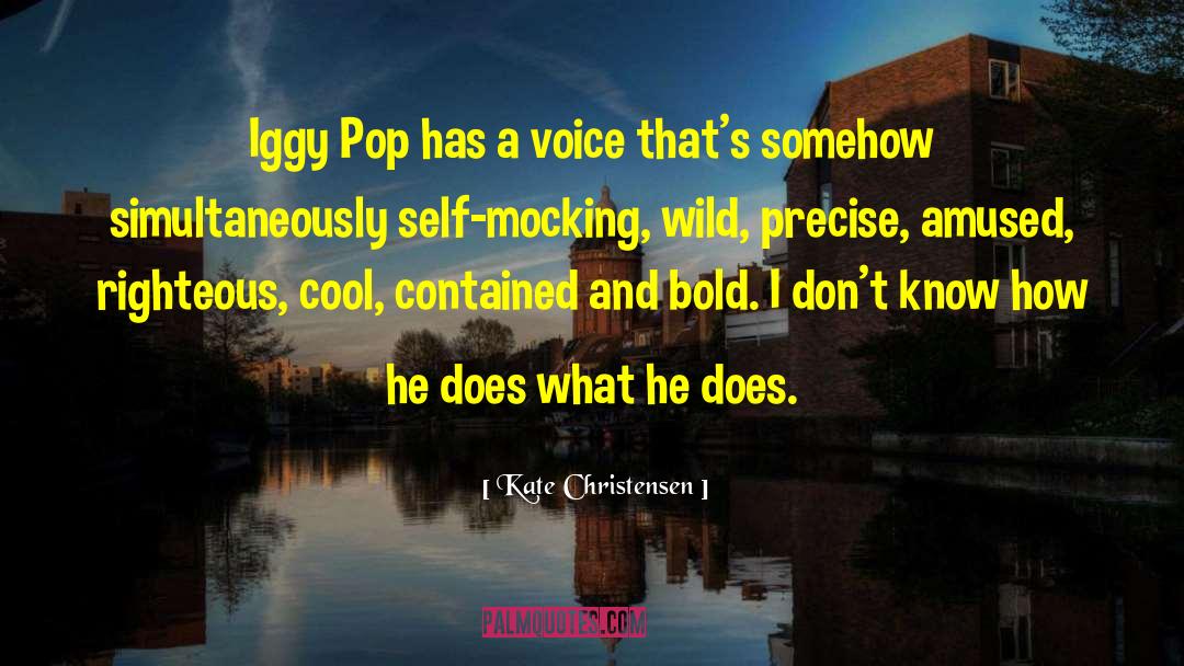 Iggy Pop quotes by Kate Christensen