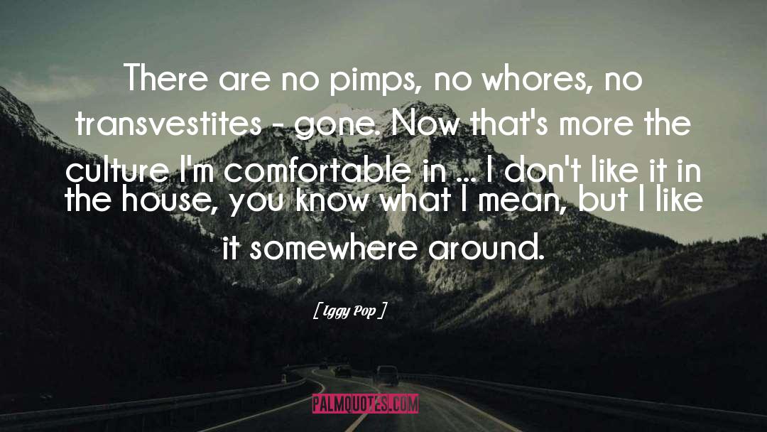 Iggy Pop quotes by Iggy Pop