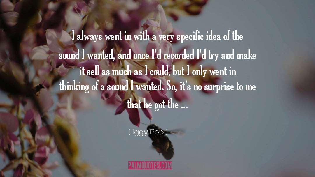 Iggy Pop quotes by Iggy Pop