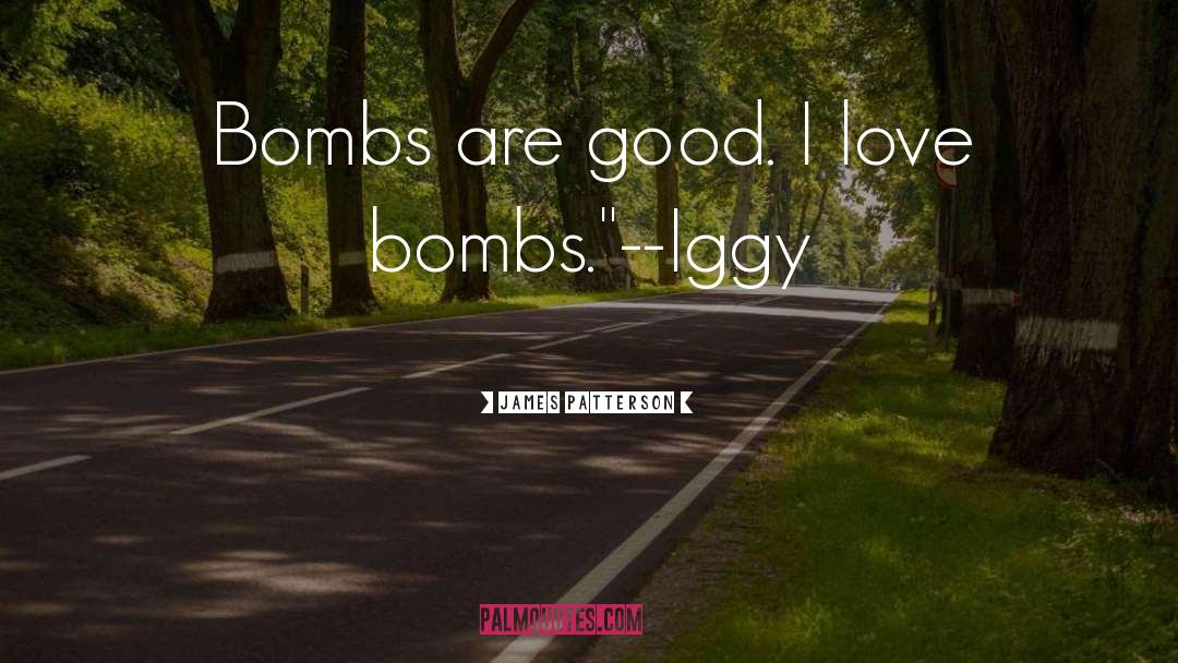 Iggy quotes by James Patterson