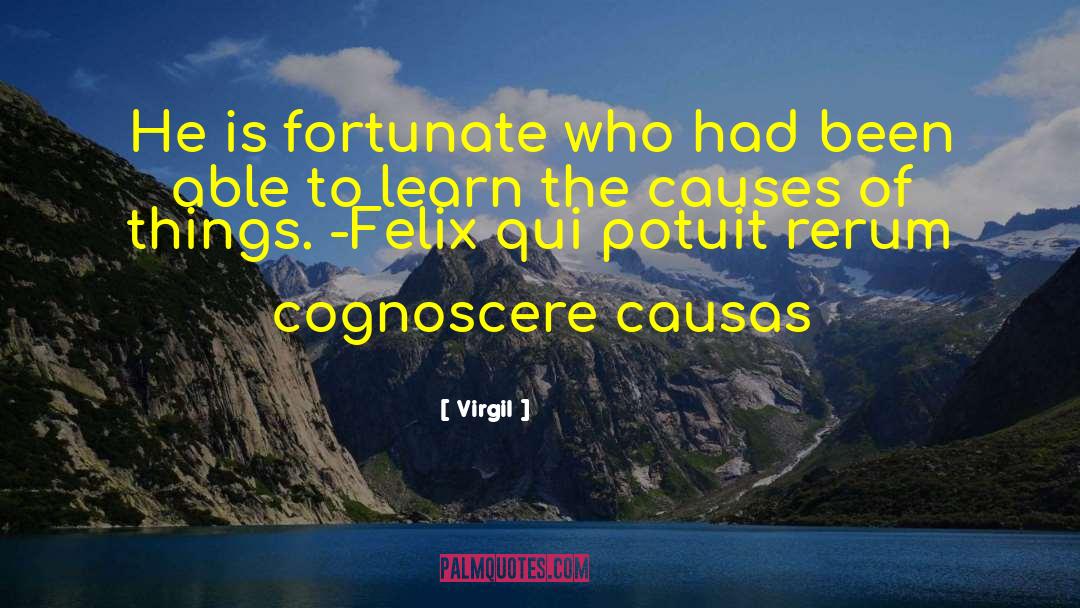 Igitur Qui quotes by Virgil