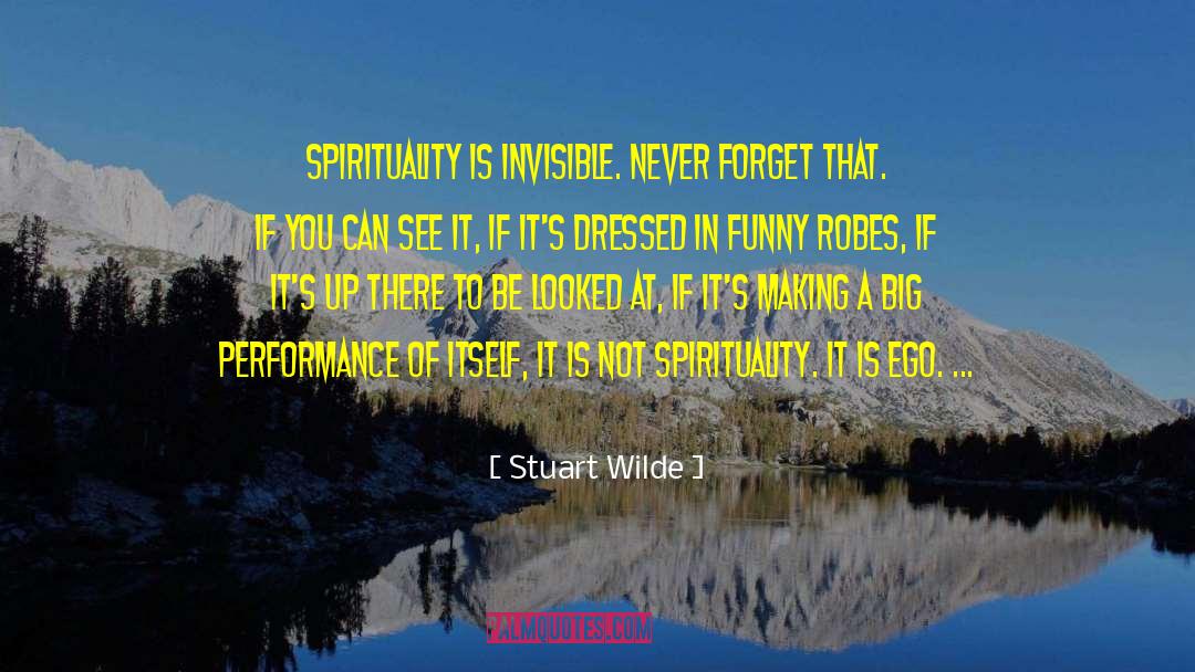 Ignatian Spirituality quotes by Stuart Wilde