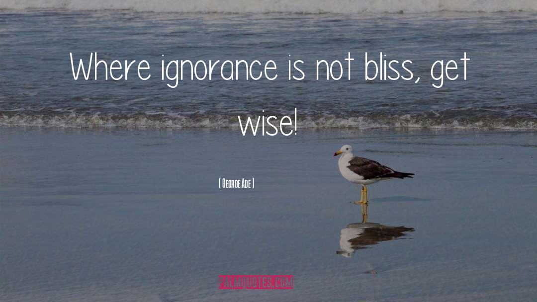 Ignorance Bliss quotes by George Ade