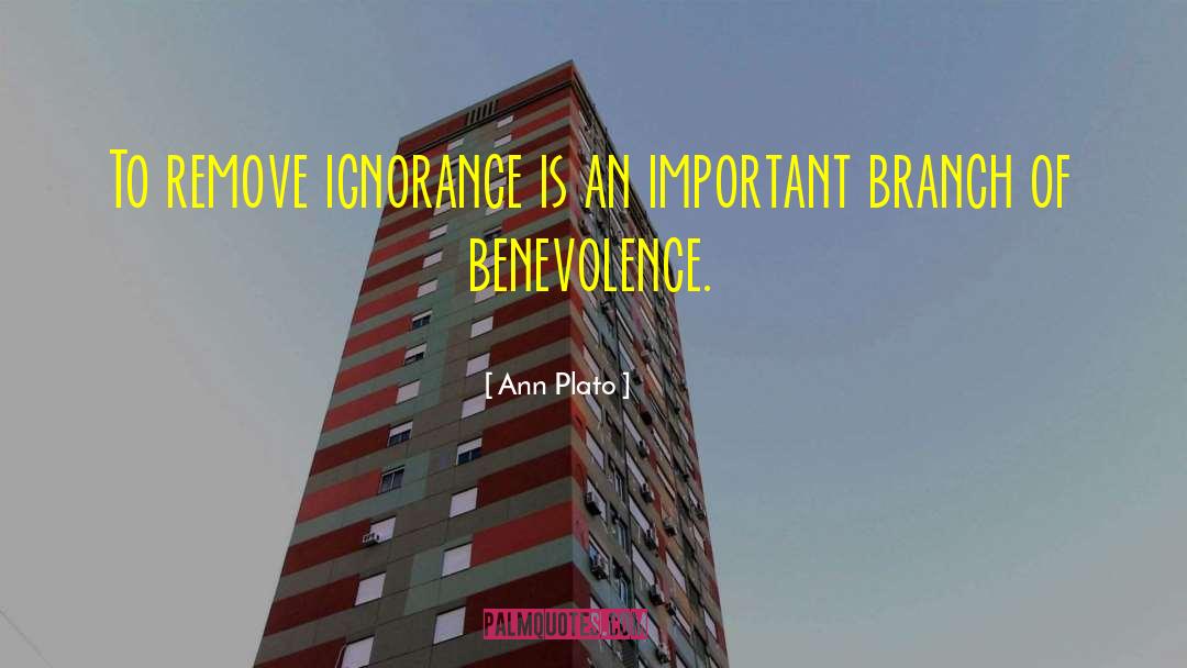 Ignorance Mlk quotes by Ann Plato