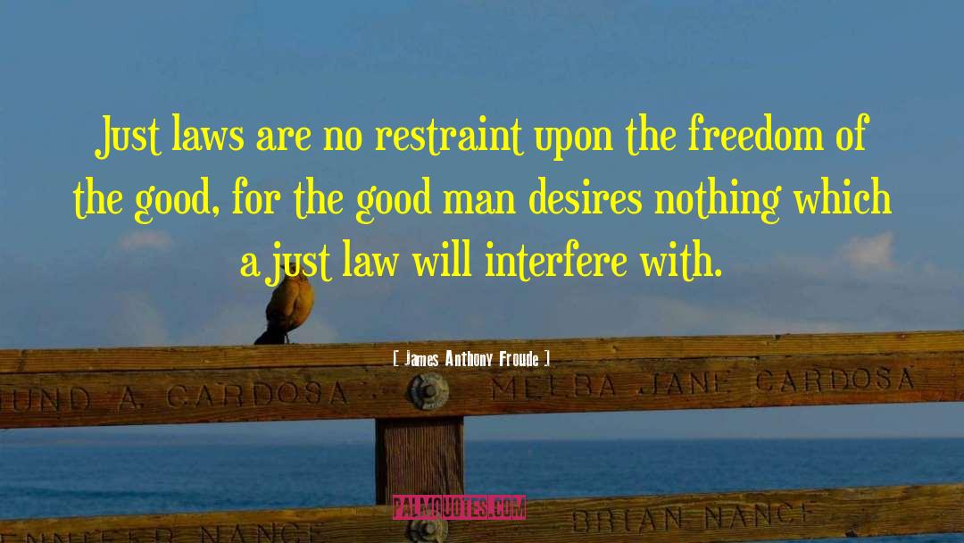 Ignorance Of The Law quotes by James Anthony Froude