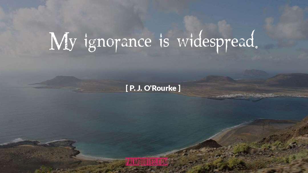 Ignorance quotes by P. J. O'Rourke