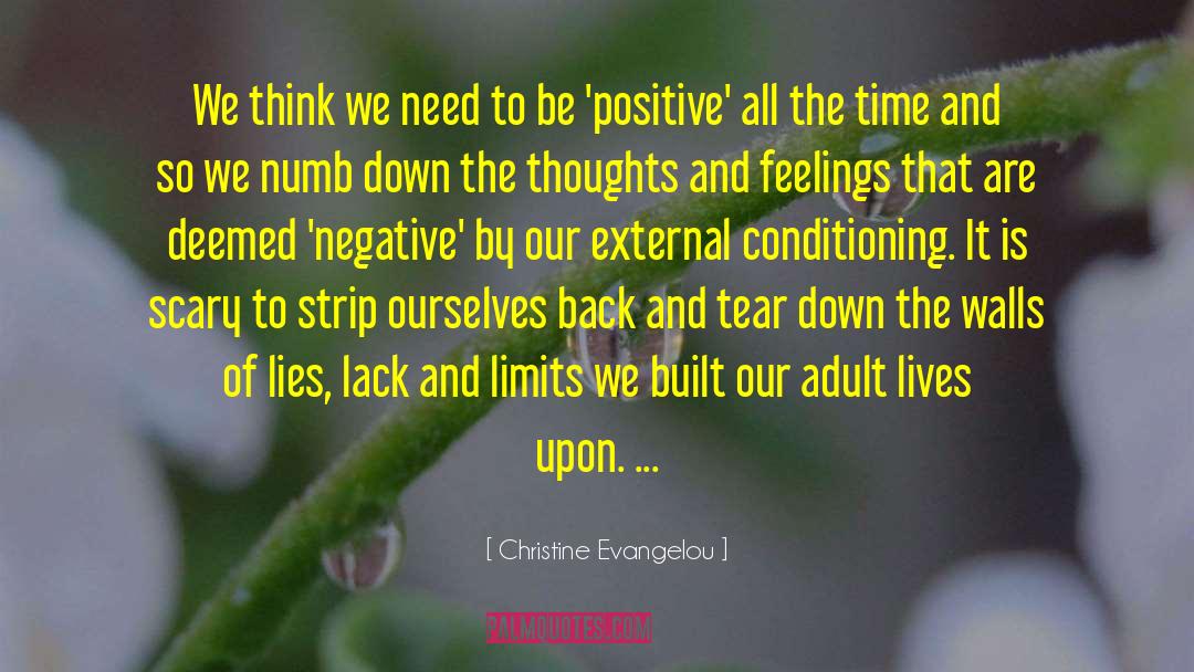 Ignore Negative Thoughts quotes by Christine Evangelou
