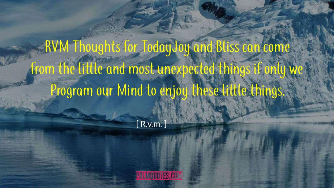 Ignoring Little Things quotes by R.v.m.