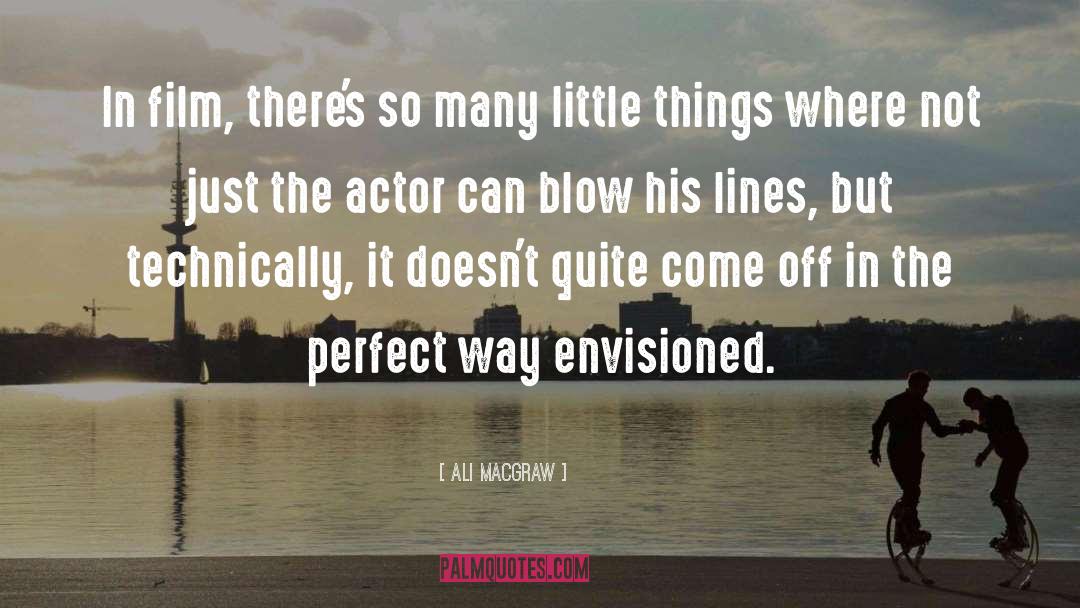 Ignoring Little Things quotes by Ali MacGraw