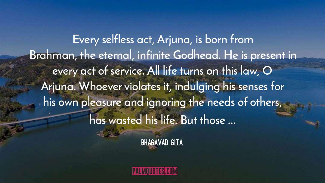 Ignoring Those Who Adore Us quotes by Bhagavad Gita